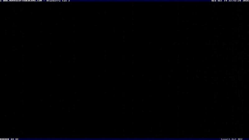 Wild Blueberry Cam 2