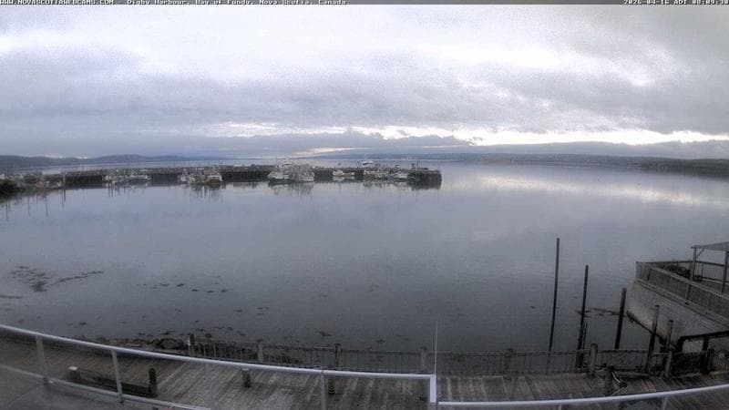 Digby Harbour
