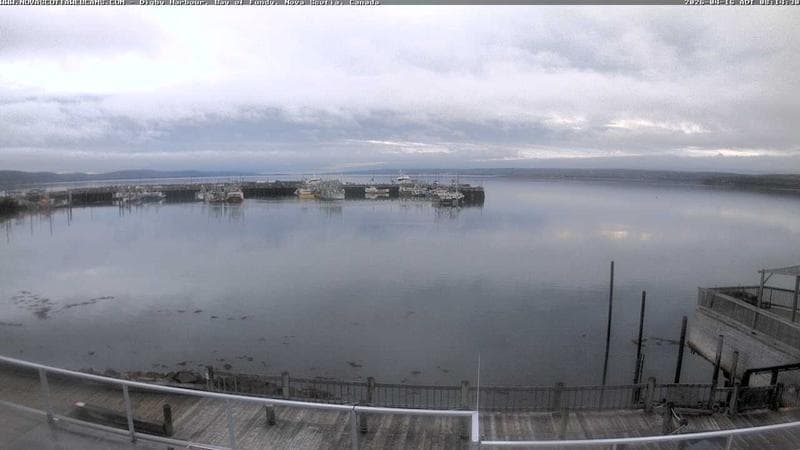 Digby Harbour
