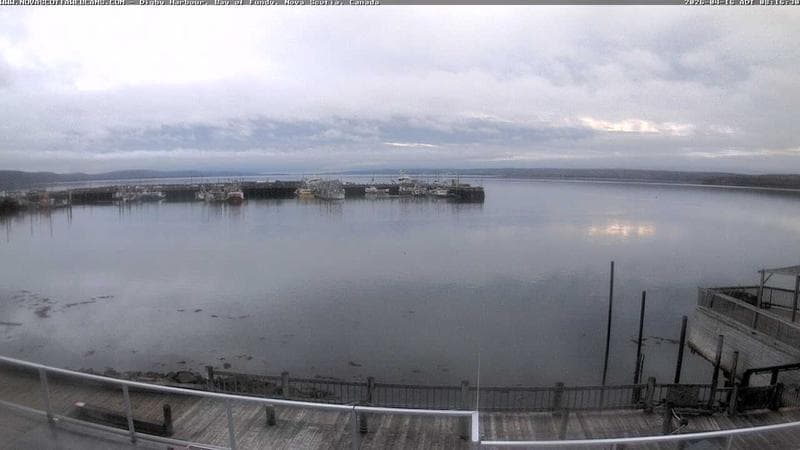 Digby Harbour