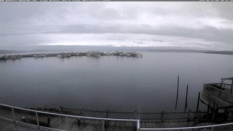 Digby Harbour