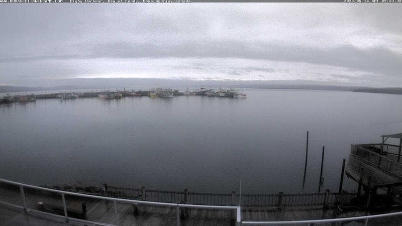 Digby Harbour