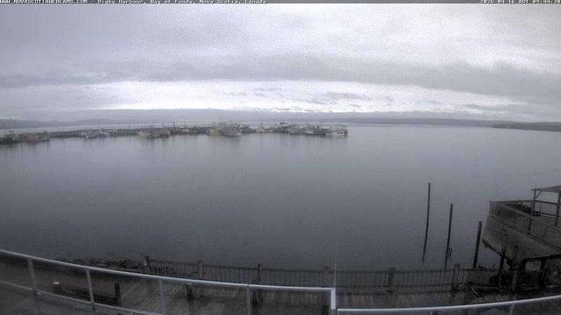 Digby Harbour