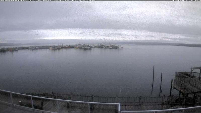 Digby Harbour