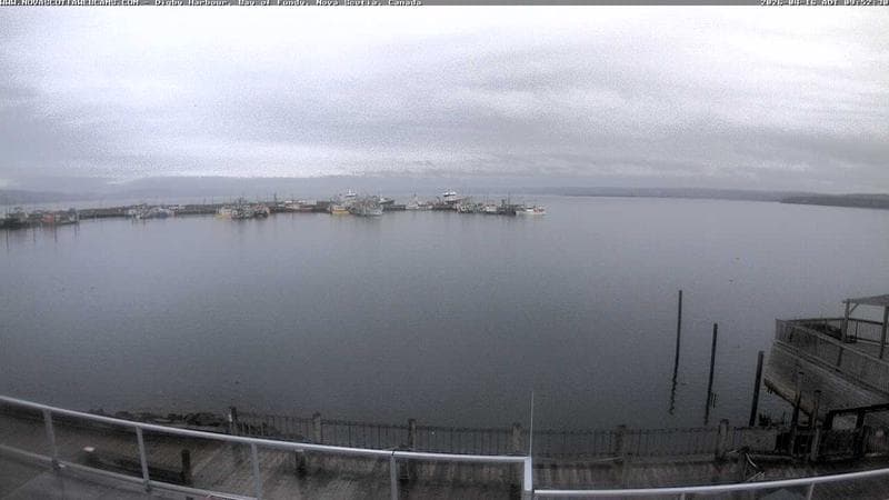 Digby Harbour