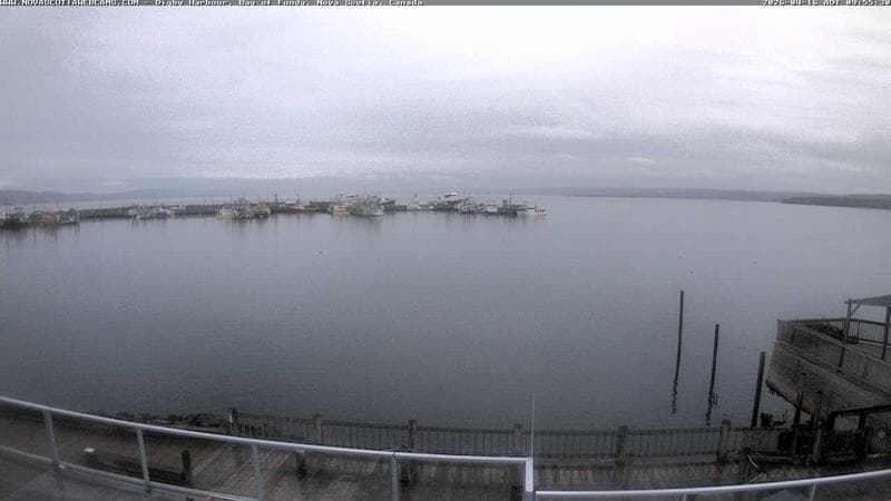 Digby Harbour