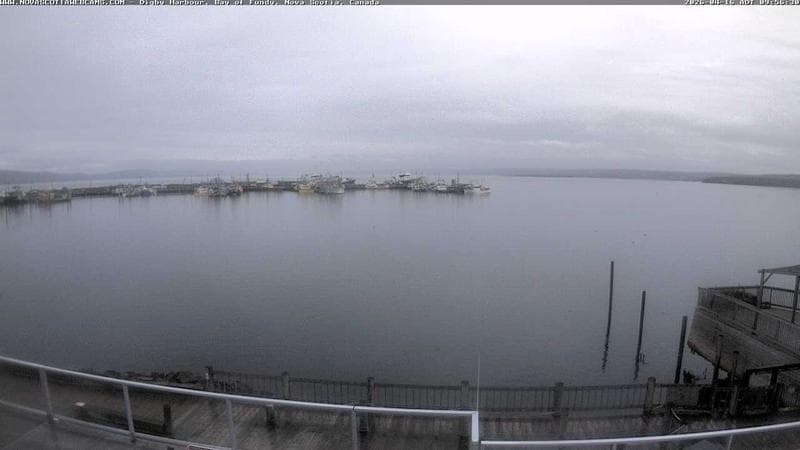 Digby Harbour