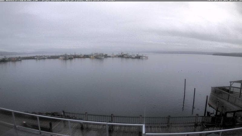 Digby Harbour
