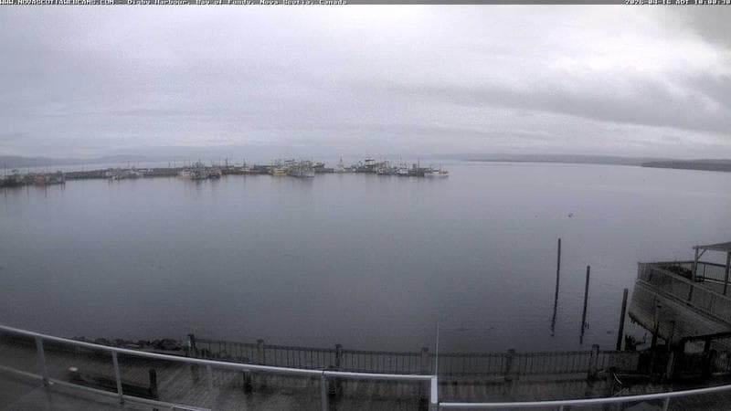 Digby Harbour