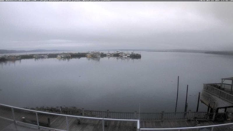 Digby Harbour