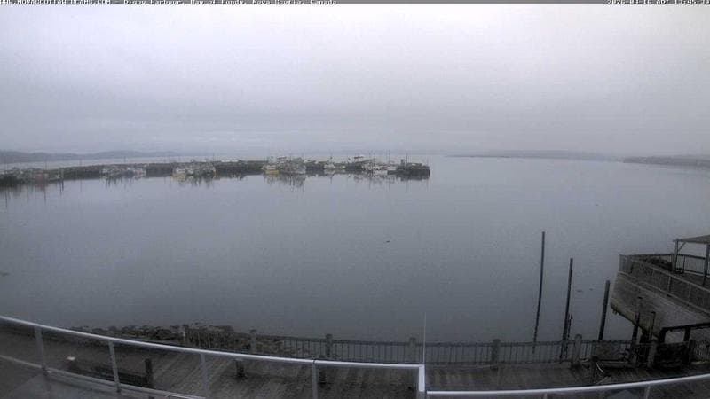 Digby Harbour