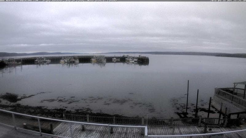 Digby Harbour
