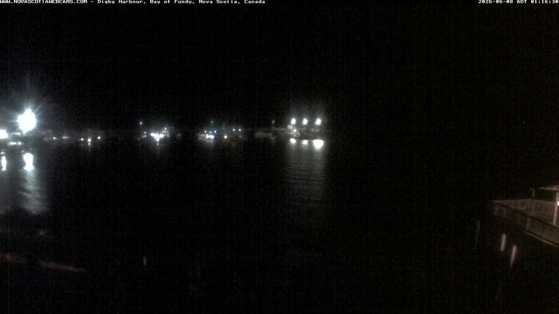 Digby Harbour