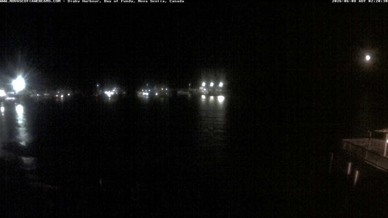 Digby Harbour