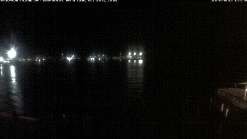 Digby Harbour