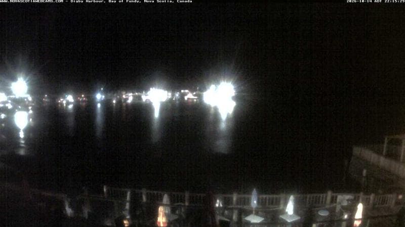 Digby Harbour