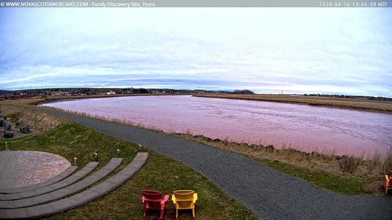 Fundy Discovery Site