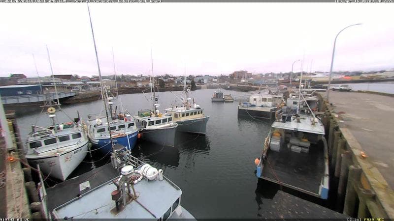 Lobster Rock Wharf East