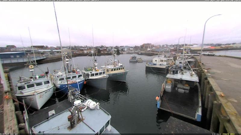 Lobster Rock Wharf East