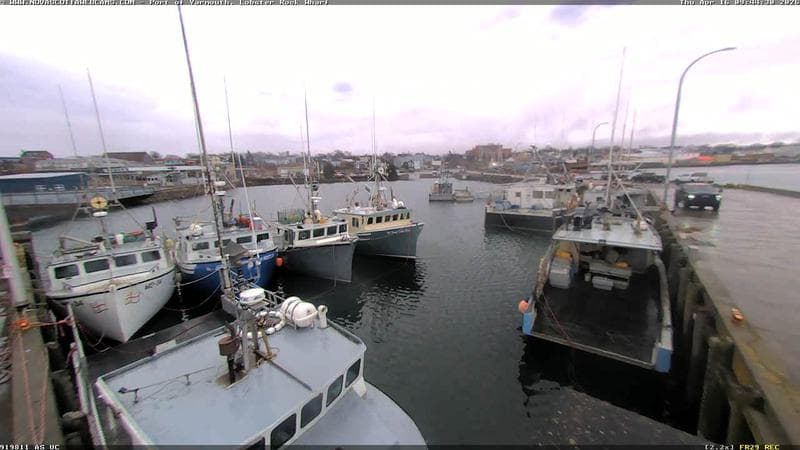 Lobster Rock Wharf East