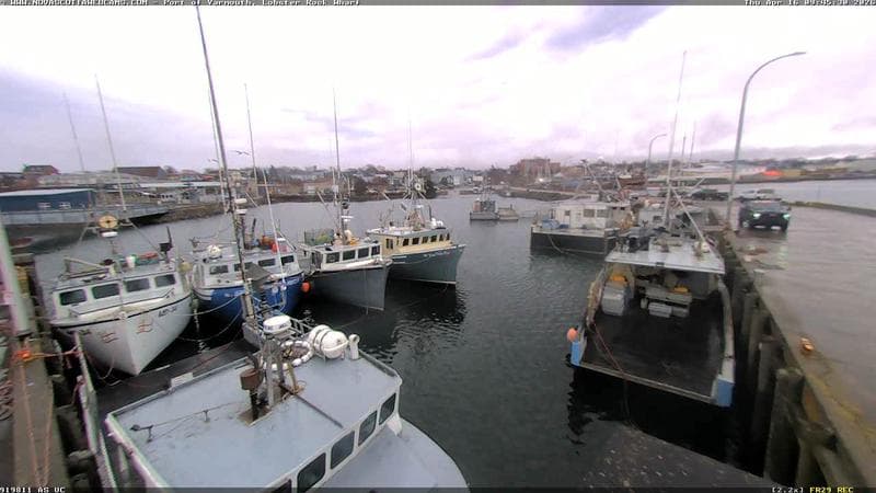 Lobster Rock Wharf East