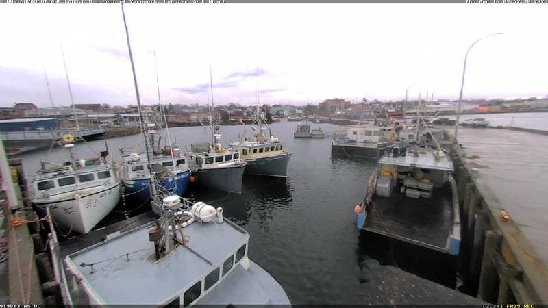 Lobster Rock Wharf East