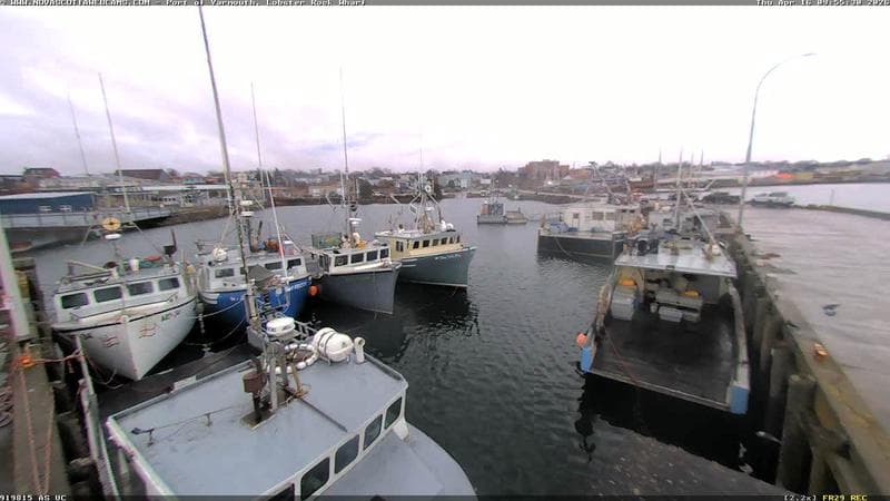 Lobster Rock Wharf East