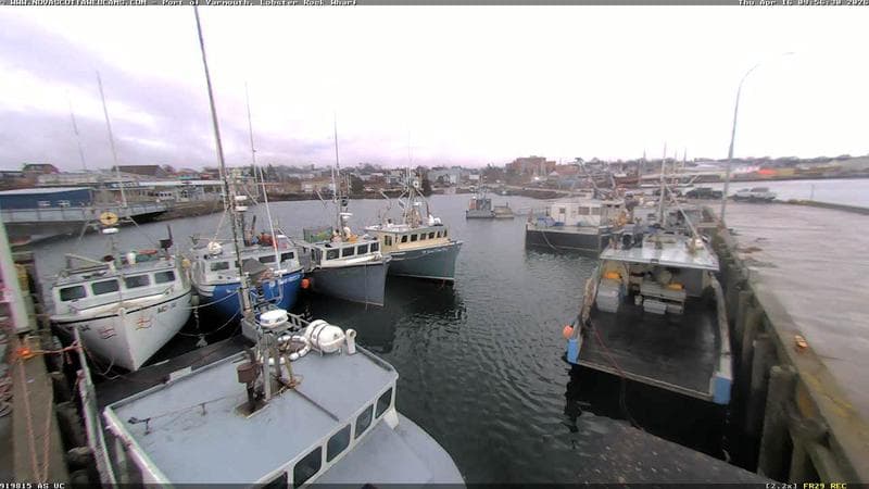 Lobster Rock Wharf East