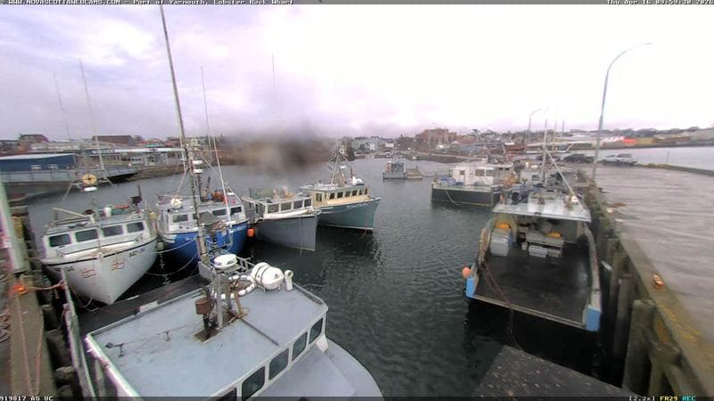 Lobster Rock Wharf East