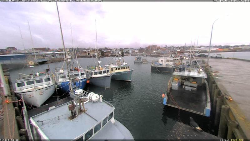 Lobster Rock Wharf East