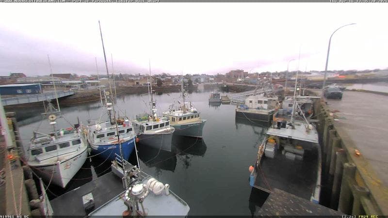 Lobster Rock Wharf East