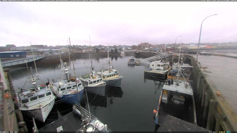 Lobster Rock Wharf East