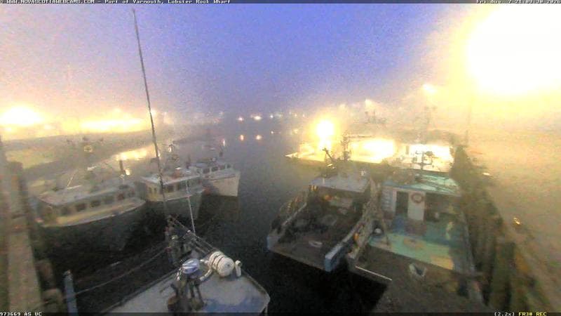 Lobster Rock Wharf East