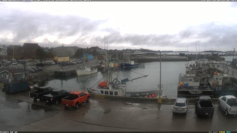 Marginal Wharf South