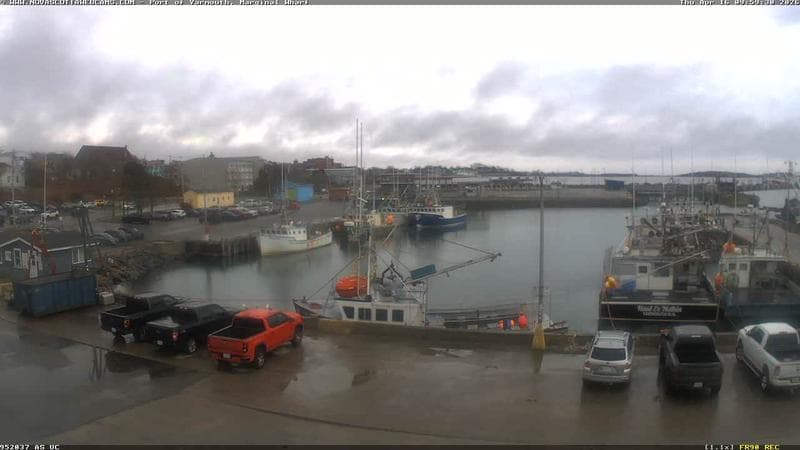 Marginal Wharf South