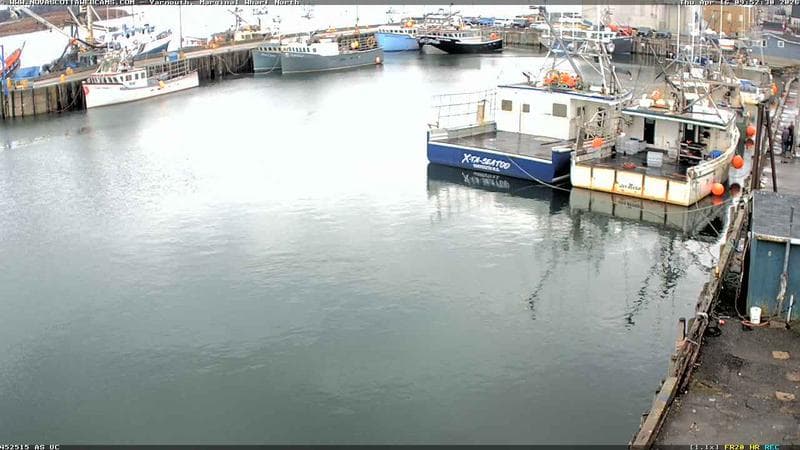 Marginal Wharf North