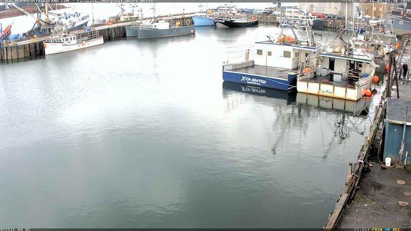 Marginal Wharf North