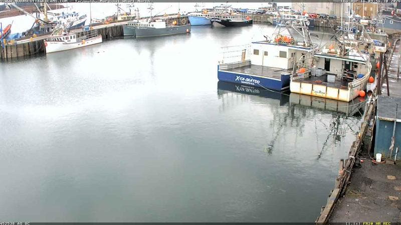 Marginal Wharf North