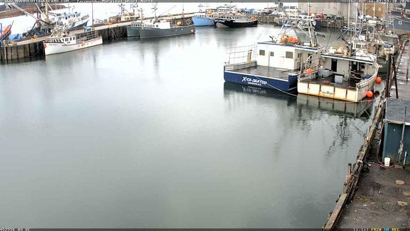 Marginal Wharf North