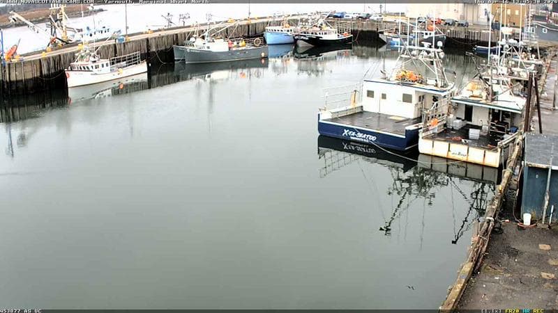 Marginal Wharf North