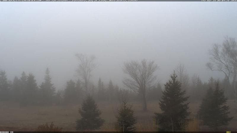 Rockcliffe by the Sea