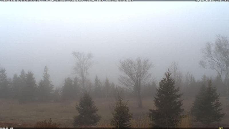 Rockcliffe by the Sea