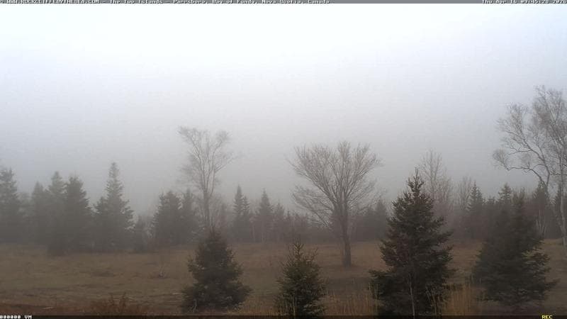 Rockcliffe by the Sea