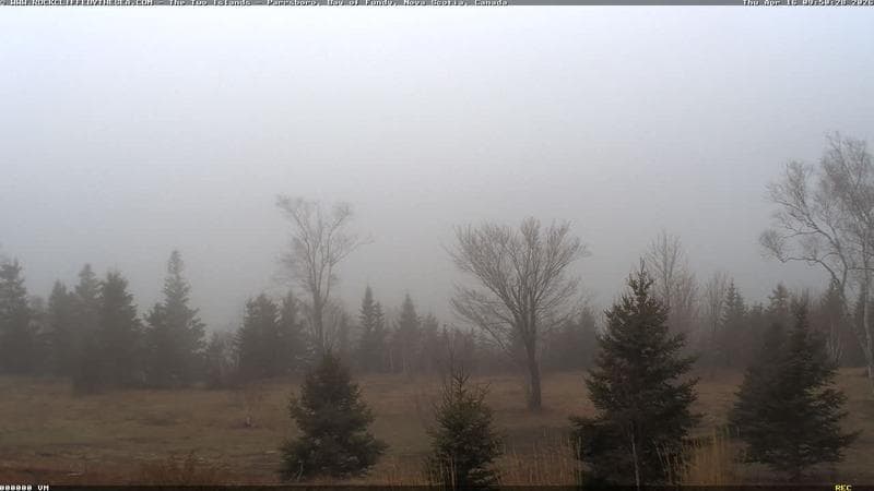 Rockcliffe by the Sea