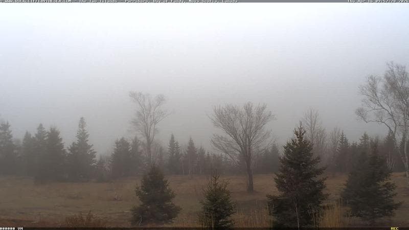 Rockcliffe by the Sea