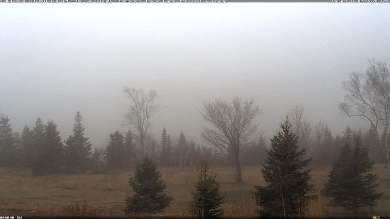 Rockcliffe by the Sea