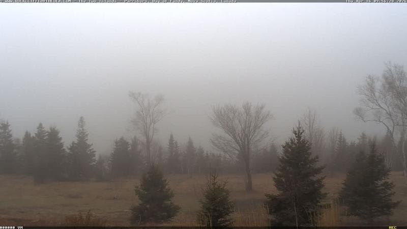 Rockcliffe by the Sea