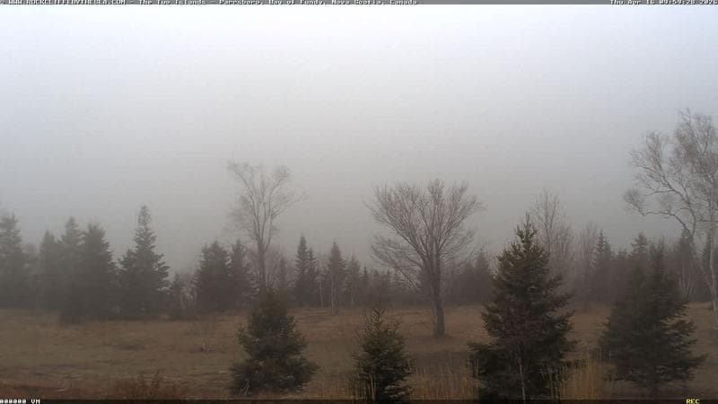 Rockcliffe by the Sea