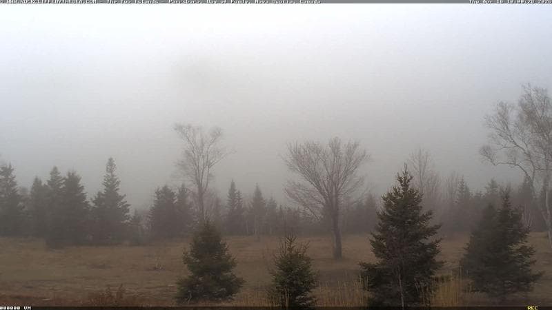 Rockcliffe by the Sea