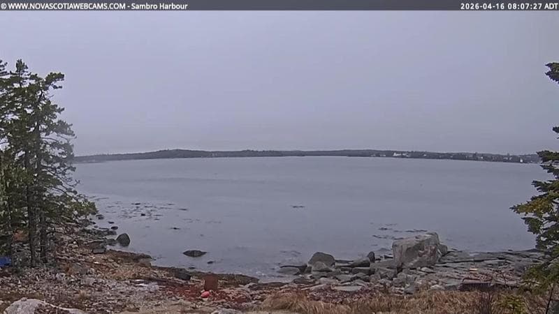 Sambro Harbour